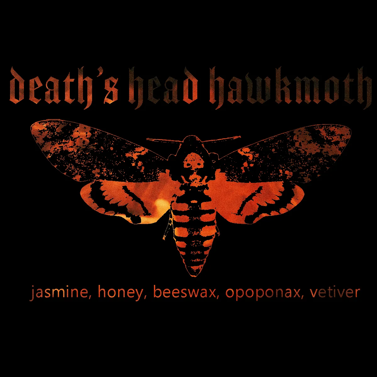 Death's-Head Hawkmoth