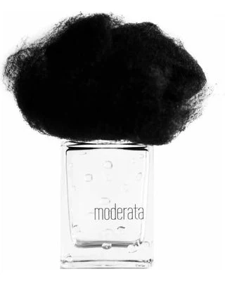 Pioggia Moderata