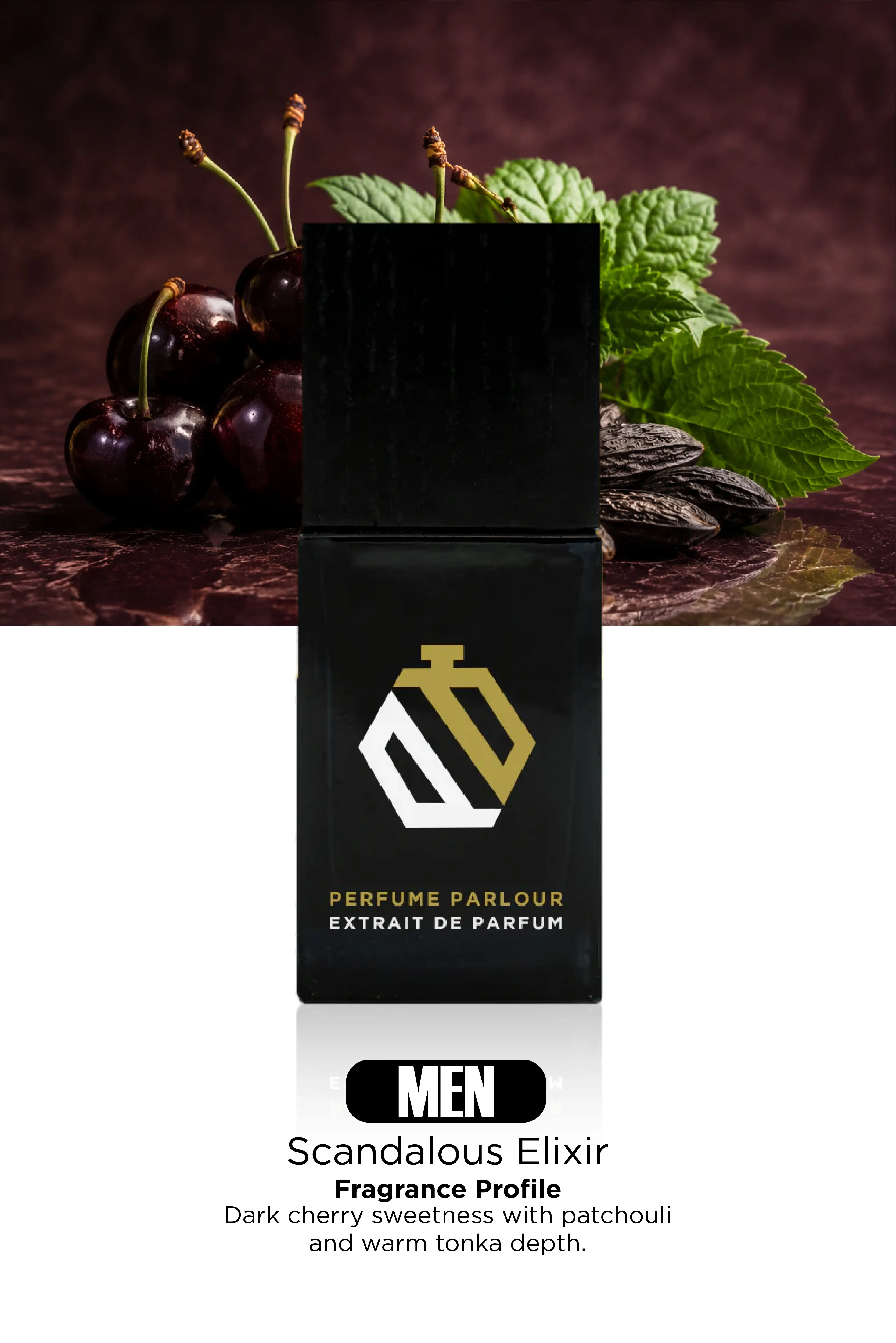 Scandalous Elixir For Men - 2579