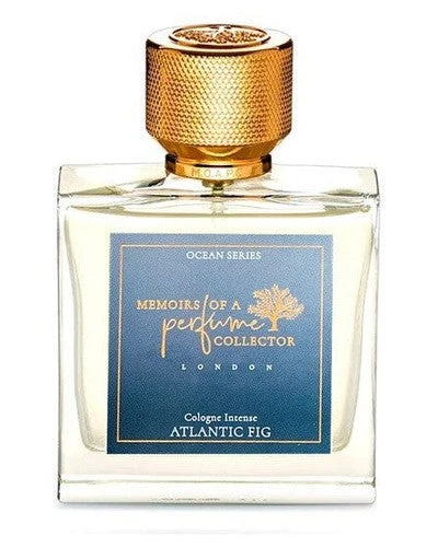 Atlantic Fig