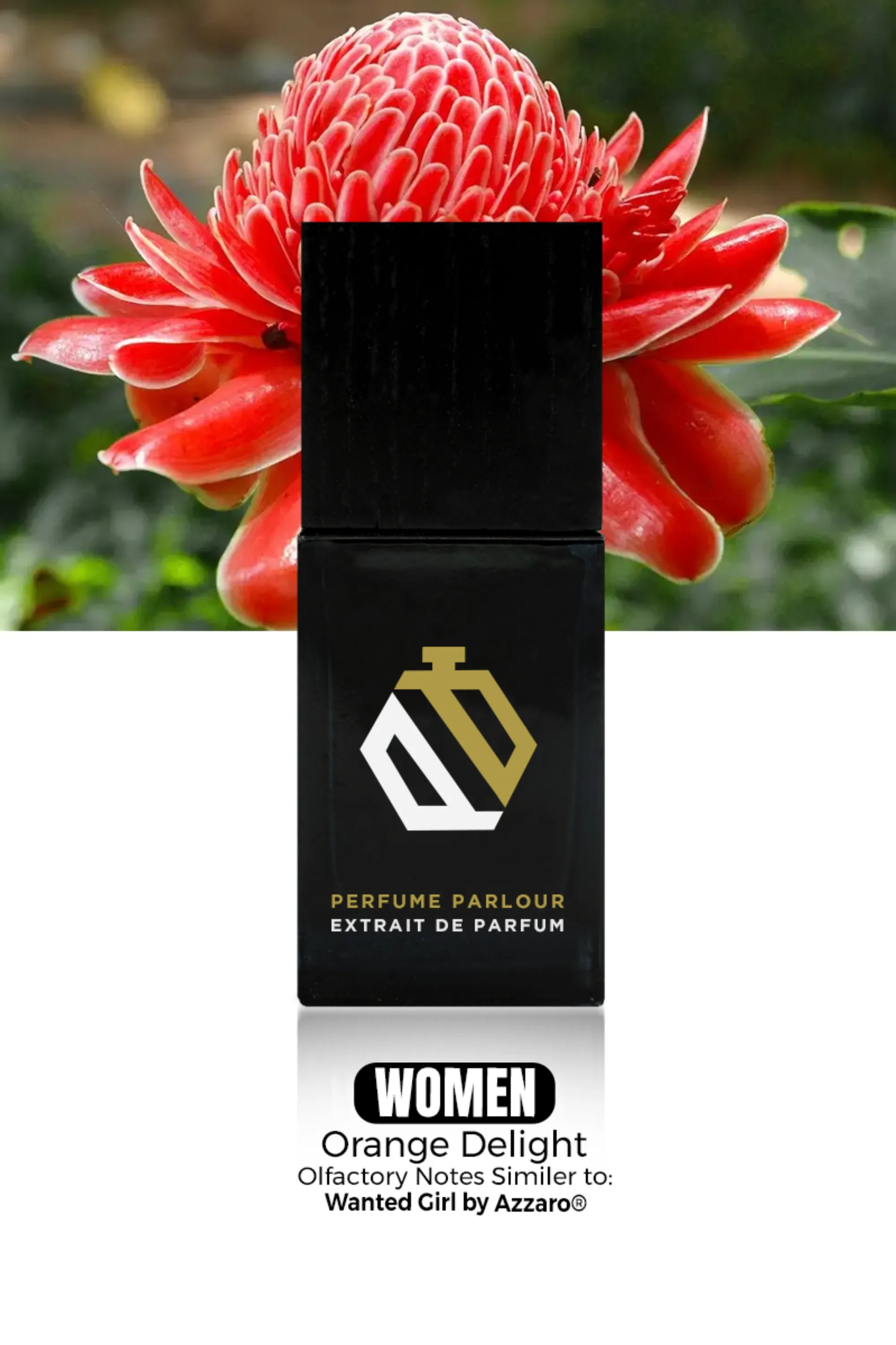 Orange Delight For Women - 2080