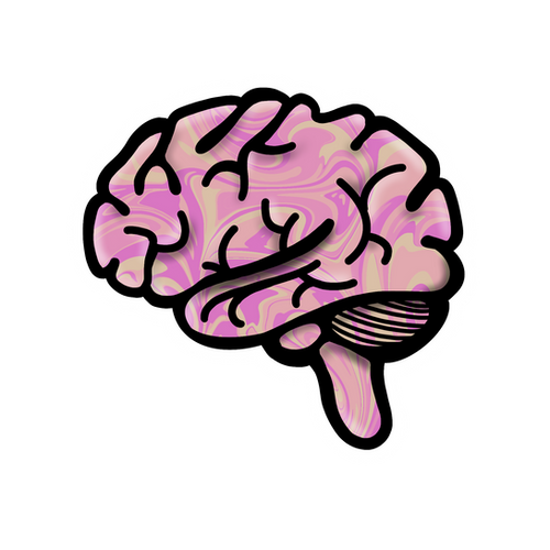 Intelligence