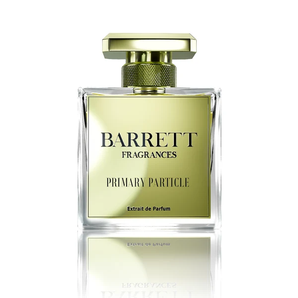 Primary Particle