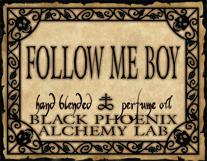 Follow Me Boy Perfume Oil