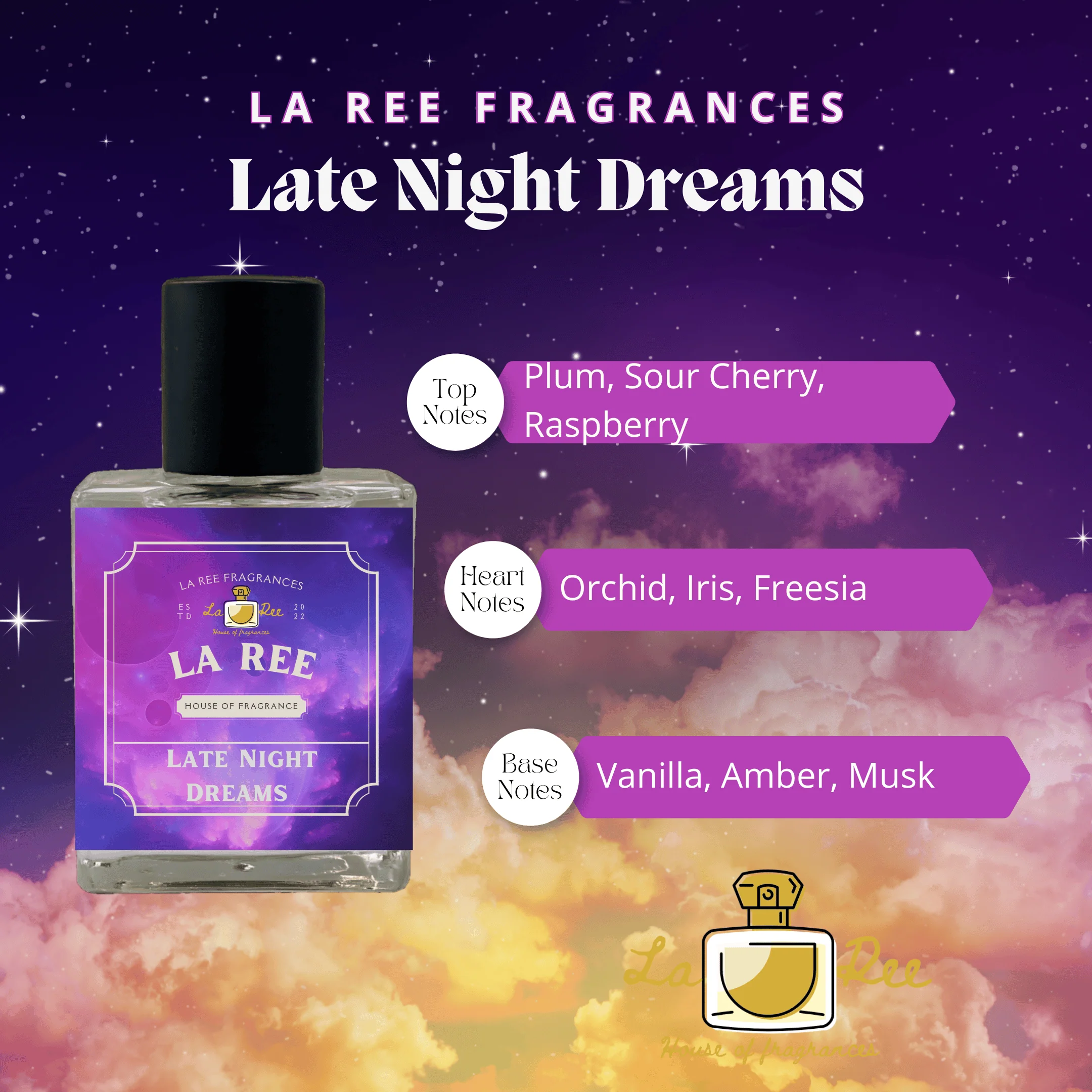 Late Night Dreams
