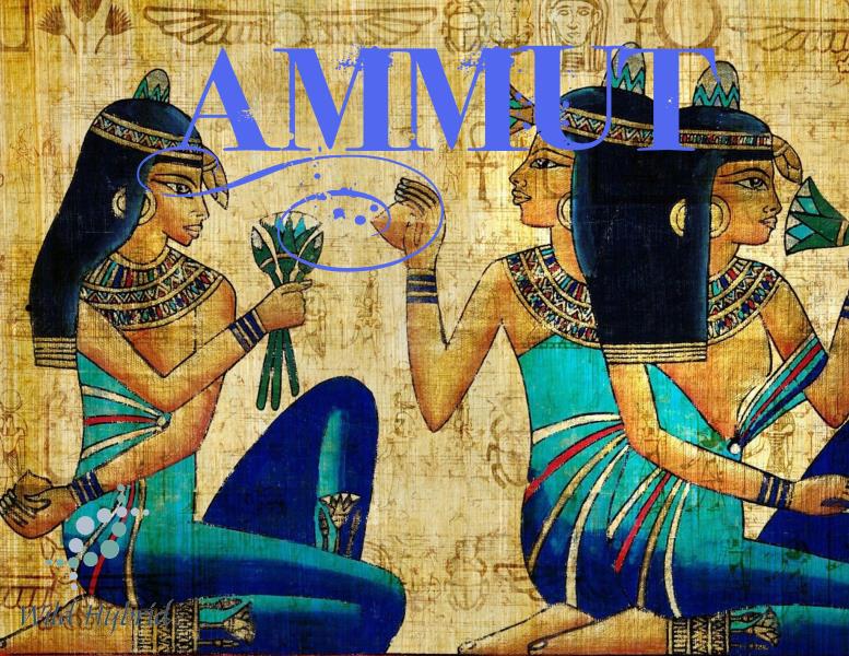 Ammut