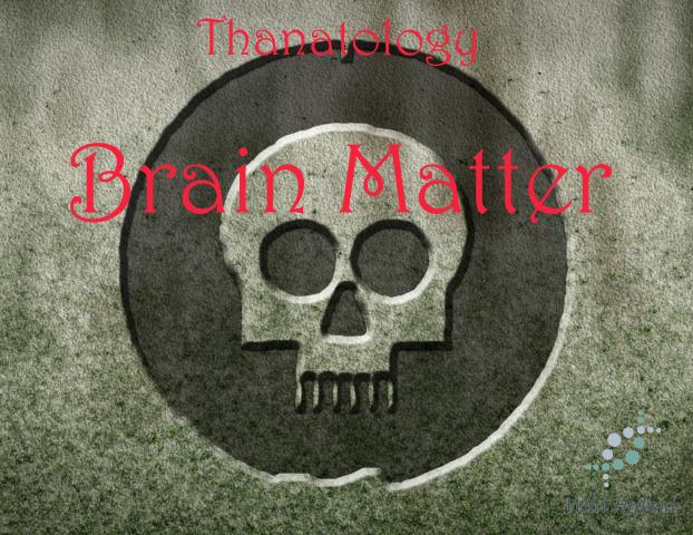 Brain Matter