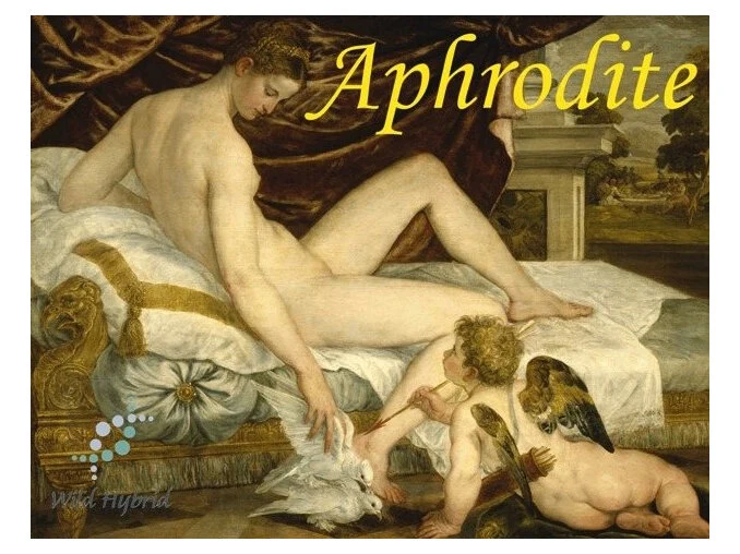 Aphrodite