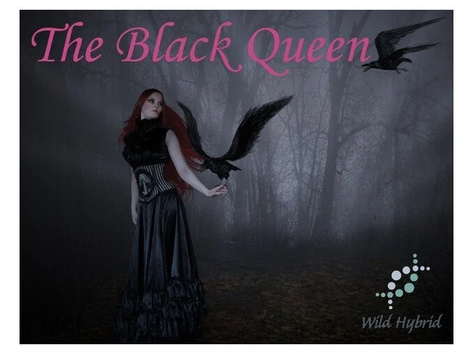 The Black Queen