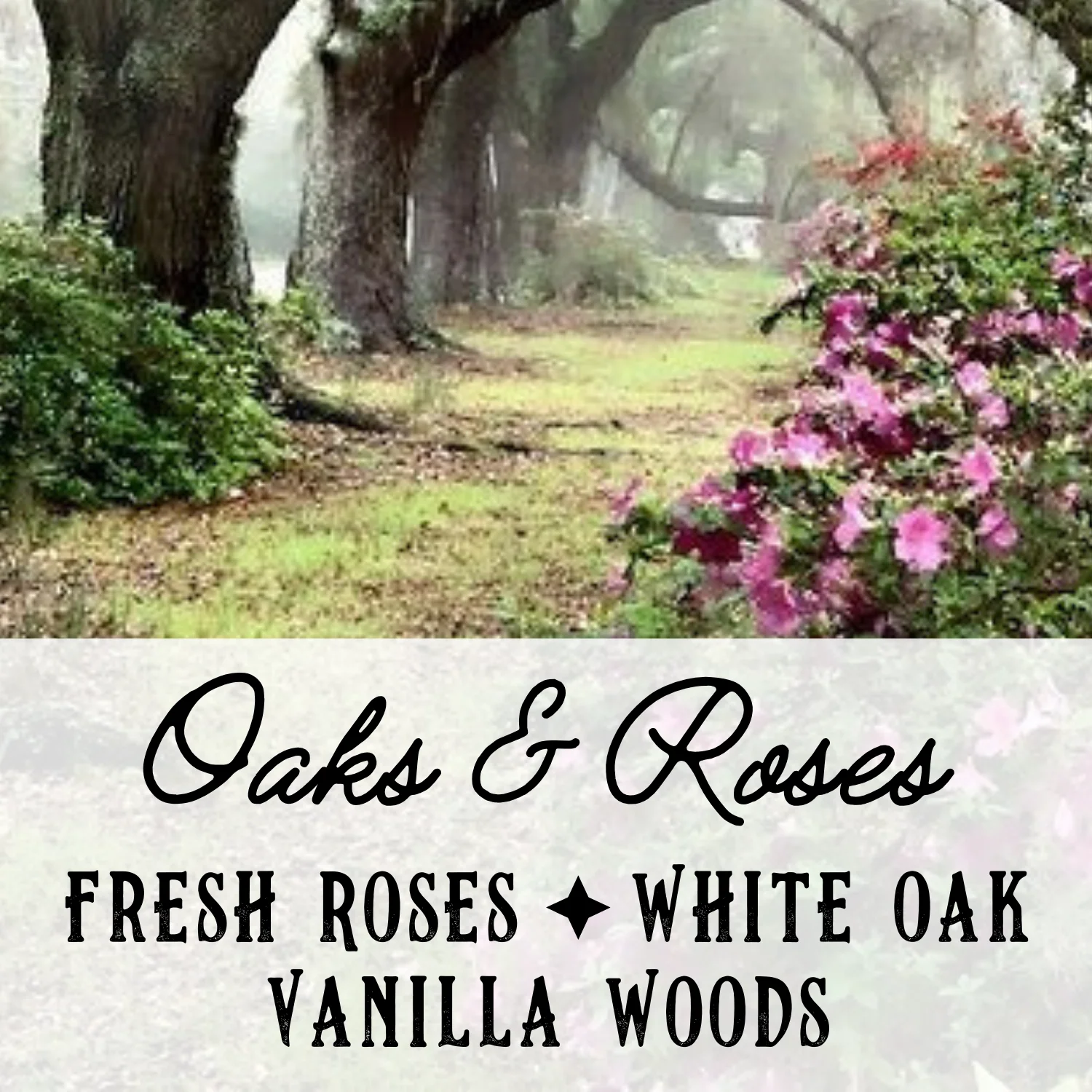 Oaks & Roses