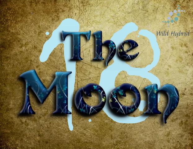 18 - The Moon