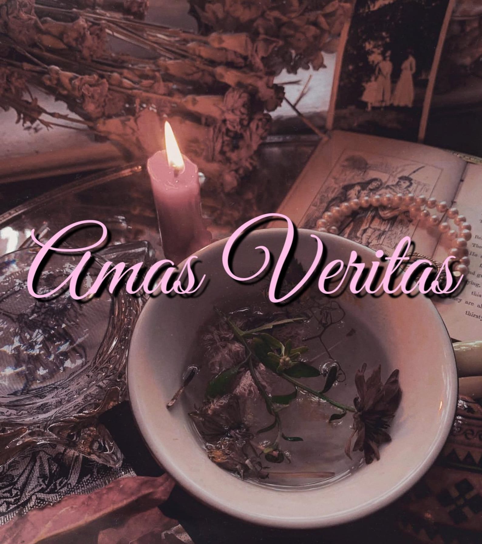Amas Veritas