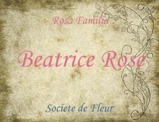 Beatrice Rose