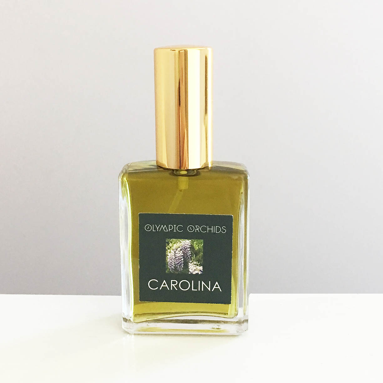 Carolina