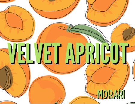 Velvet Apricot
