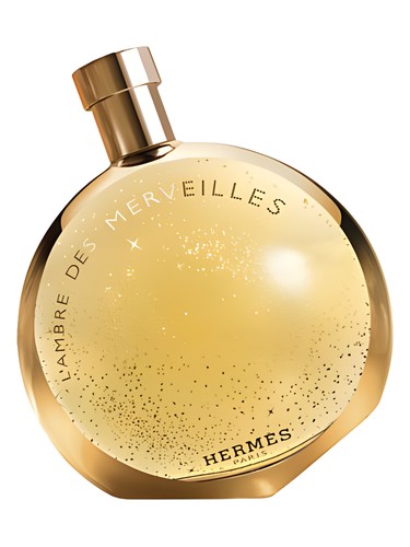 L'Ambre Des Merveilles