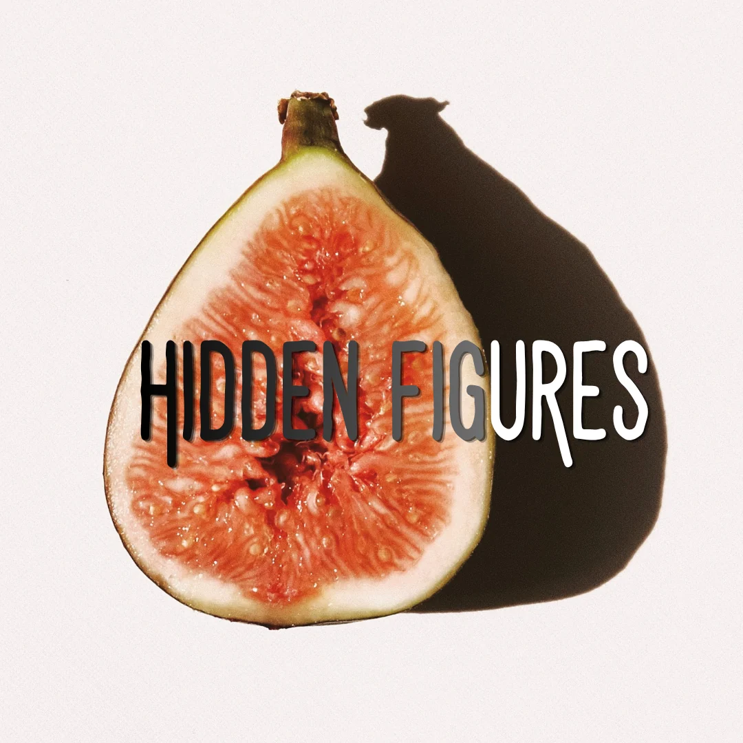 Hidden Figures