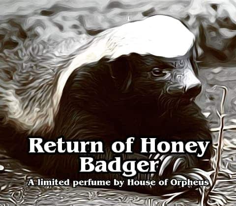 Miel Blaireau, Honey Badger